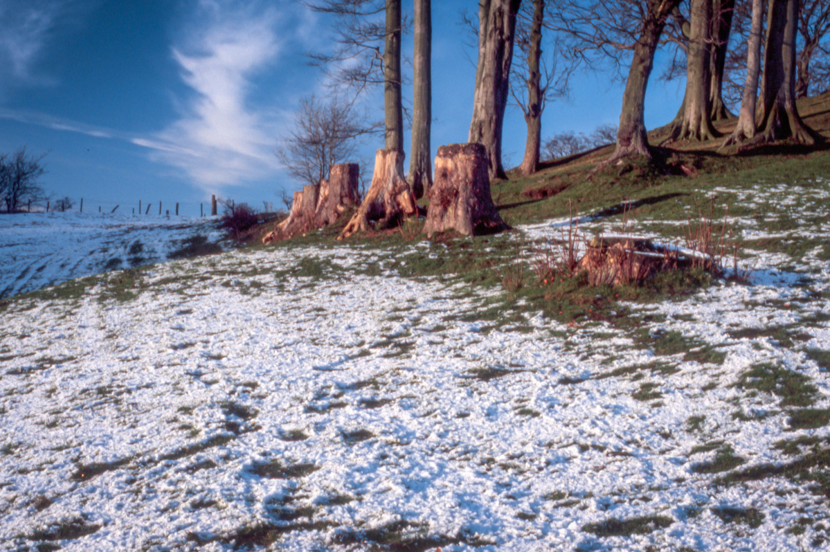 Ghosts of Christmas Past